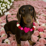 Valentine - Pom Pom Dog Collar