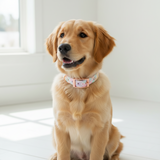 Collar para perro hecho a mano en tonos pastel de Vichy
