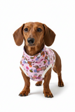 Premium Organic Handmade Teckel Sweater “Bee Happy Dachshunds” - Pink
