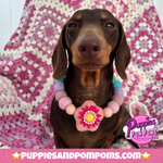 Spring Fuchsia Flower - Personalised Pom Pom Dog Collar