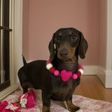 Valentine - Pom Pom Dog Collar