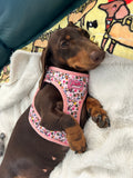 Bee Happy Dachshund’s Step In Harness Pink
