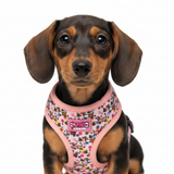 Bee Happy Dachshund’s Step In Harness Pink