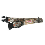 Collar - Bee Happy Dachshunds Beige