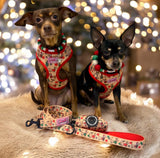 Christmas Dachshunds Harness