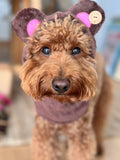 Dog Snood / Buff / Hat - Brown Teddy Bear