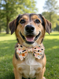 Handmade Dog Sailer Bow Tie - Halloween