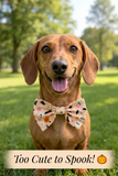 Handmade Dog Bow Tie - Halloween