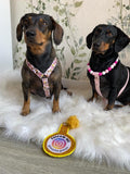 Arnés para perros salchicha Bee Happy, hecho a mano en biotano - Cuero vegano / Biotano impermeable