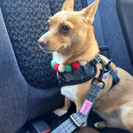 Dog Car Seat Belt - Cornish Hunting Tartan