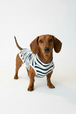 The “Cornish Harbour Stripes” Organic Cotton Dachshund Sweatshirt