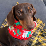 Red White & Green Crochet Doggy Snood