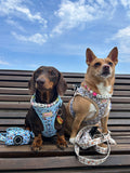 Bee Happy Dachshund’s Step In Harness Blue
