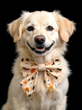 Handmade Dog Sailer Bow Tie - Halloween