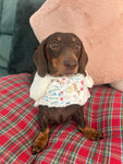 Spring Dachshunds Fluffy Handmade Reversible Coat