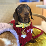 Handmade Crochet Dachshund Coat / Jumper - Christmas