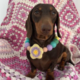 Spring Lilac Flower - Personalised Pom Pom Dog Collar