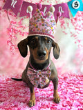 Handmade Sailer Bow- Bee Happy Dachshunds Pink