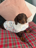 Spring Dachshunds Fluffy Handmade Reversible Coat