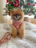 Christmas Dachshunds Harness