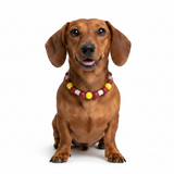 España Anti-Parasitario Collar - EM Ceramic Bead Anti Tick/ Flea