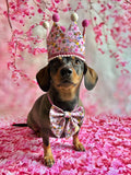 Handmade Sailer Bow- Bee Happy Dachshunds Pink