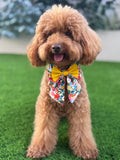 Pajarita marinera para perro hecha a mano - Doble lazo - Pequeña "Fiesta en el jardín"