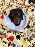 Hot Dog Dachshunds - Faux Fur Blanket