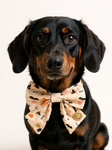 Handmade Dog Sailer Bow Tie - Halloween