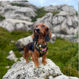 Harness - Cornish Tartan - As Seen in Vogue