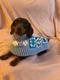 Abrigo/jersey de perro salchicha hecho a mano a crochet - Azul bebé
