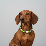 Green EM Ceramic Bead Anti Tick Collar Anti-Parasitario