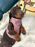 Bee Happy Dachshund’s Step In Harness Pink