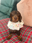 Spring Dachshunds Fluffy Handmade Reversible Coat