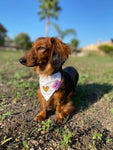 PERSONALISED NAME - VINYL ADD ON - FOR DOG BANDANAS, HARNESSES & WASTE BAG HOLDERS