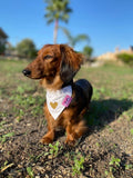 PERSONALISED NAME - VINYL ADD ON - FOR DOG BANDANAS, HARNESSES & WASTE BAG HOLDERS