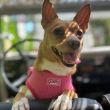 Pink Luxe Corduroy Harness