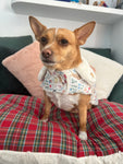 Spring Dachshunds Fluffy Handmade Reversible Coat