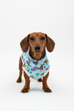 Premium Organic Handmade Teckel Sweater “Bee Happy Dachshunds” Blue