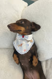 Le Petit Teckel Bluebell Bandana