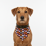 Pañuelo para perro de Halloween con diseño de calabazas felices - Se ata