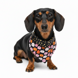 Pañuelo para perro de Halloween con diseño de calabazas felices - Se ata