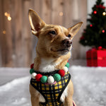 Christmas Pom Pom Dog Collar -  Elf Green