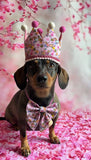 Handmade Sailer Bow- Bee Happy Dachshunds Pink