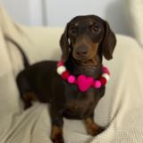 Valentine - Pom Pom Dog Collar