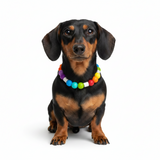 Rainbow EM Ceramic Bead Anti Tick Collar Anti-Parasitario