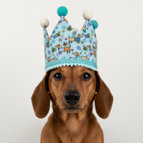 Handmade Birthday Crown Hat - Bee Happy Dachshunds Blue