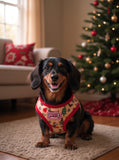 Christmas Dachshunds Harness
