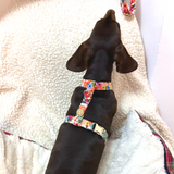 Handmade H Dog Harness - Garden Party