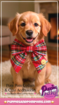 Christmas Tartan Sailer Bow